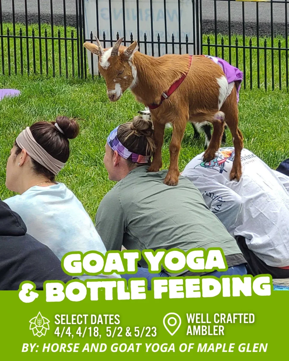 Baby Goat Bottle Feeding & Snuggle Time